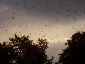 photo coins arrondis